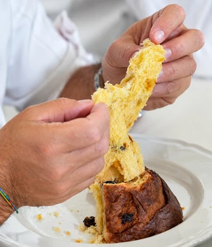 Open, stringy crumb of a panettone pulled apart by hand